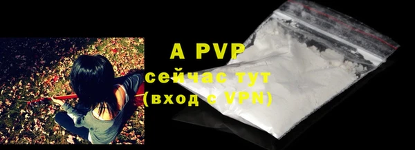дживик Киренск