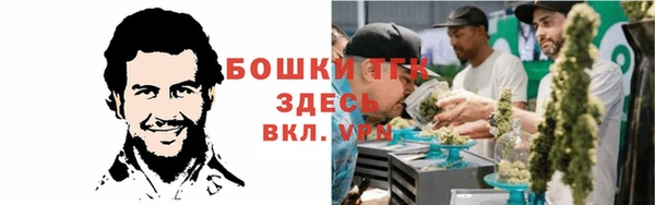 твердый Киреевск