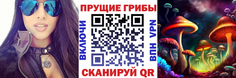 Купить где  Вышний Волочёк  Галлюциногенные грибы мицелий 