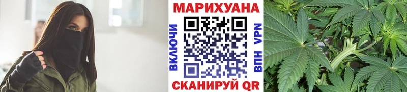 Купить Вышний Волочёк Каннабис план
